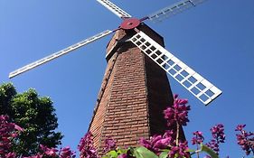 d'Emmerick Salib Putih Hotel Salatiga